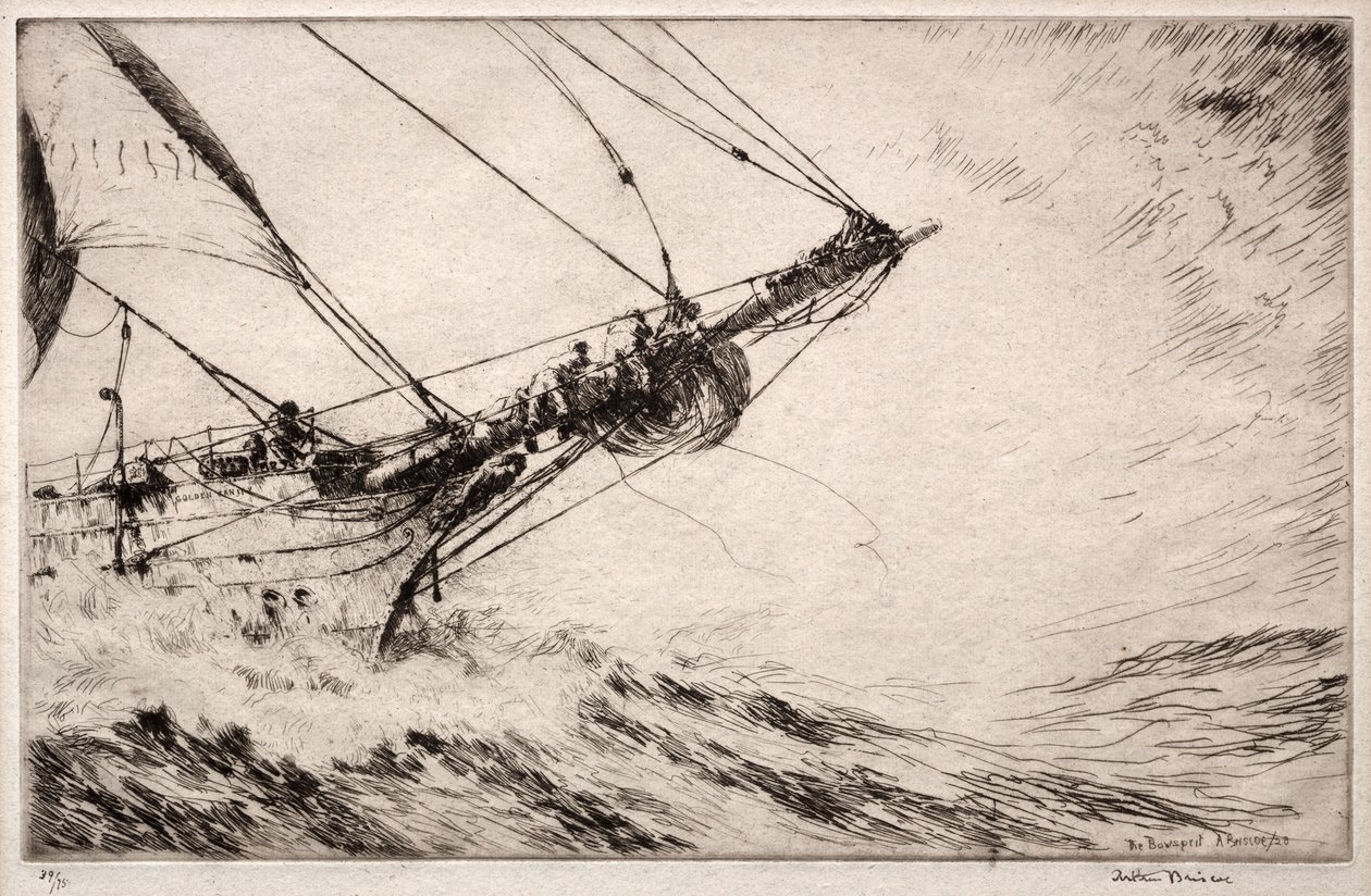 Bogsprötet av Arthur John Trevor Briscoe