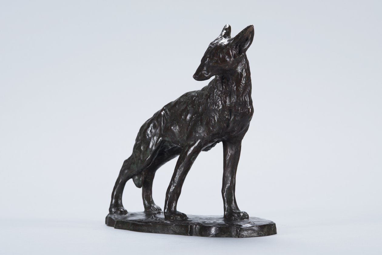 Alert Coyote (brons) av Arthur Putnam