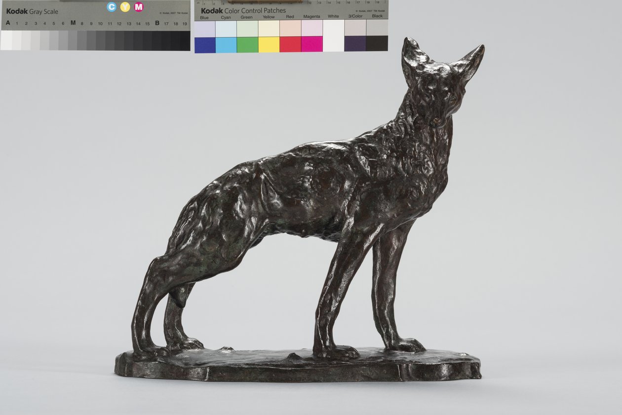 Alert Coyote (brons) av Arthur Putnam