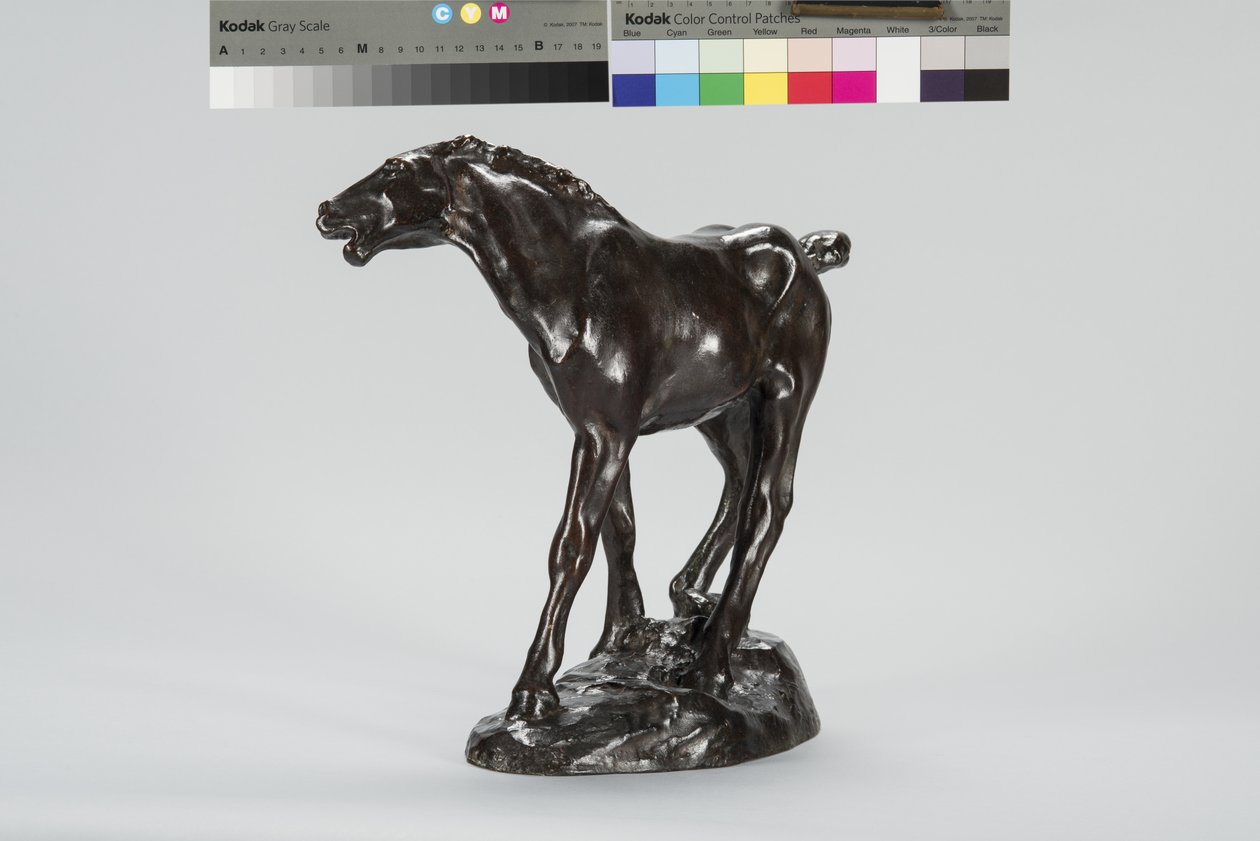 Colt (brons) av Arthur Putnam