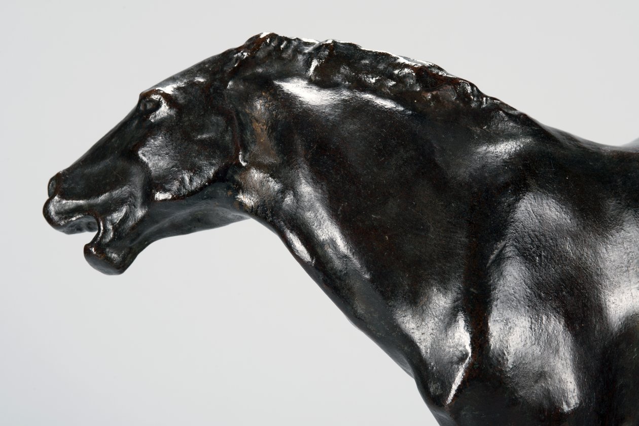 Colt (brons) av Arthur Putnam