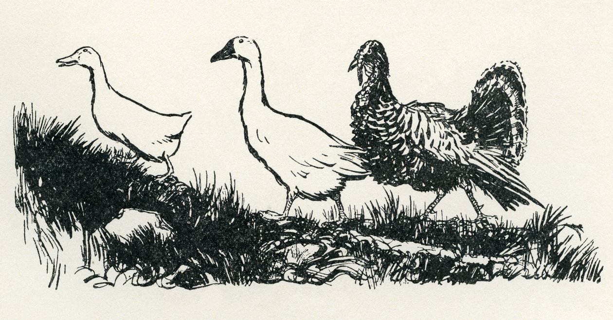 Henny-Penny av Arthur Rackham
