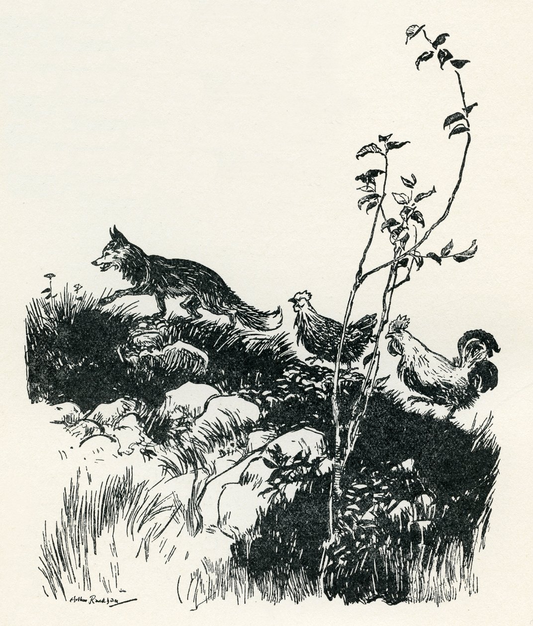 Henny-Penny av Arthur Rackham