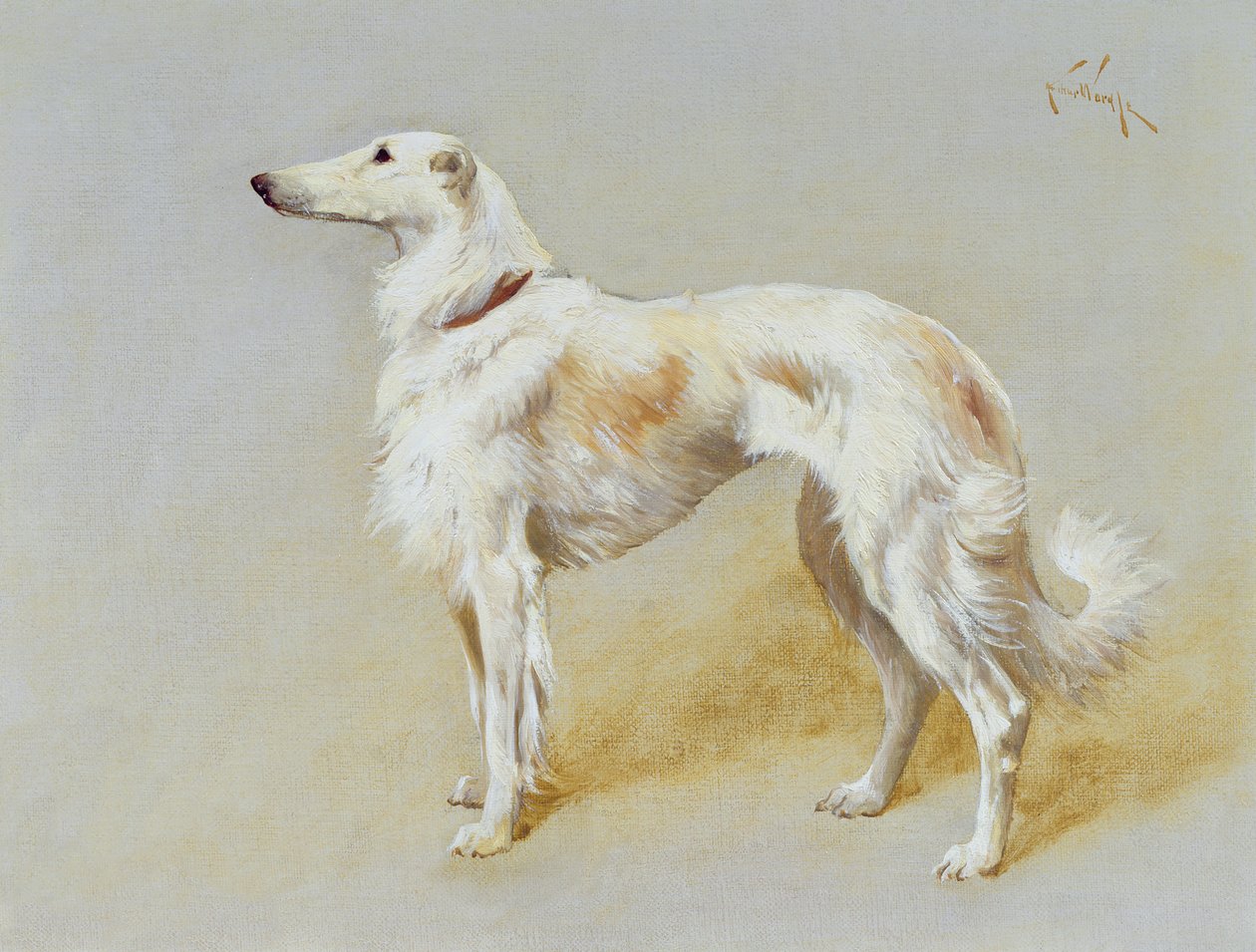 En Borzoi-hund (olja på duk) av Arthur Wardle