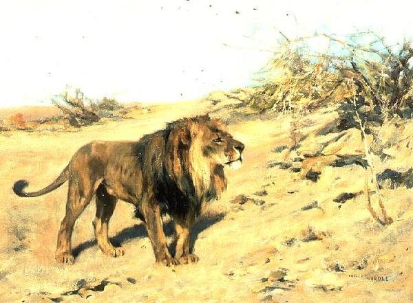 Ett lejon bland scrub av Arthur Wardle