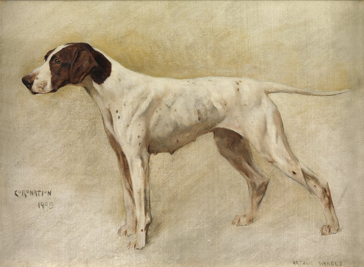 Kröning av Arthur Wardle