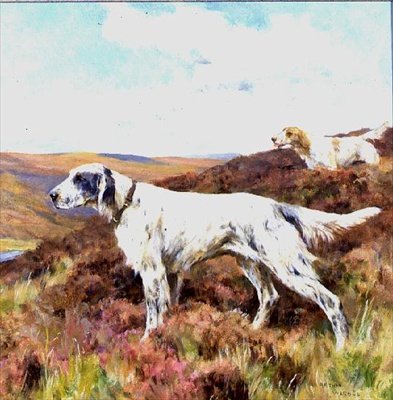 Engelska setters (olja ombord) av Arthur Wardle