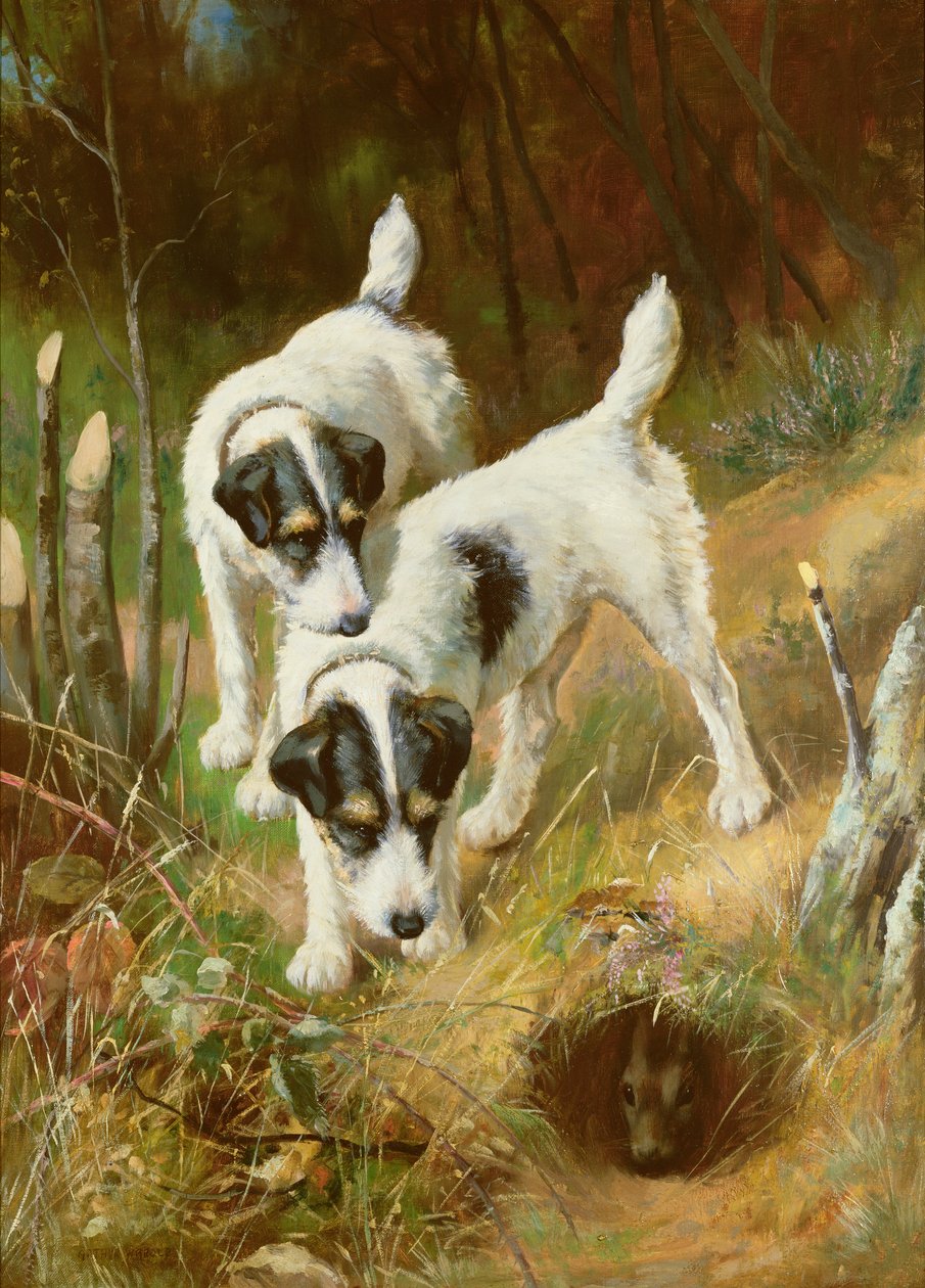 Terrier kanin av Arthur Wardle