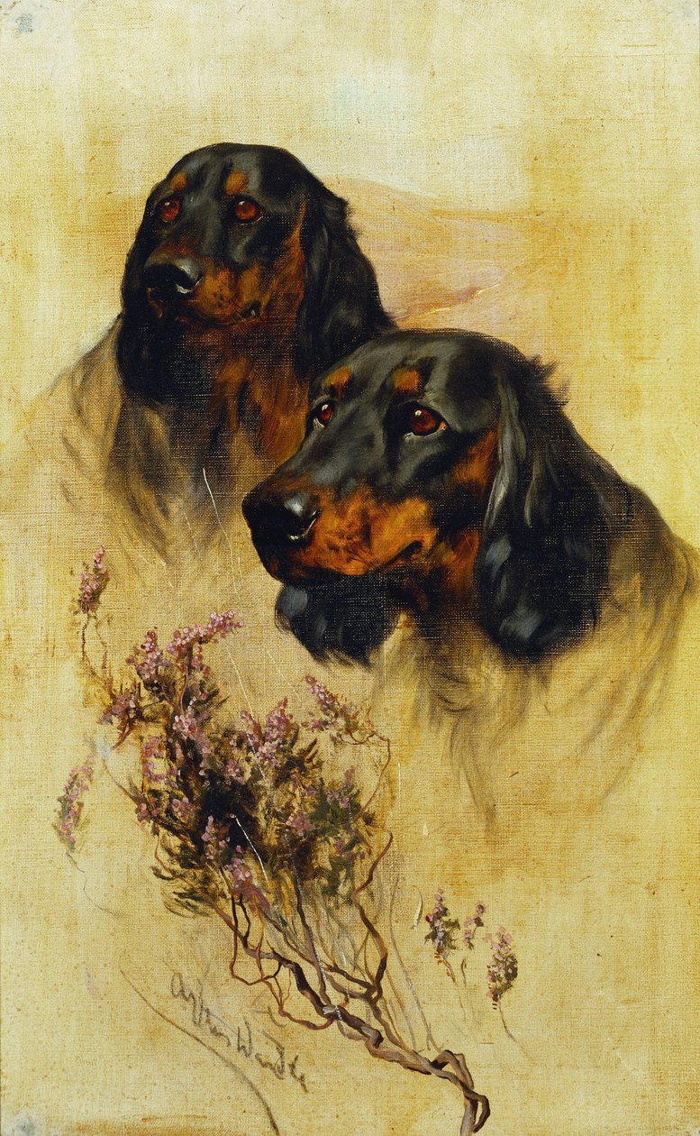 Två Gordon Setters (olja på duk) av Arthur Wardle