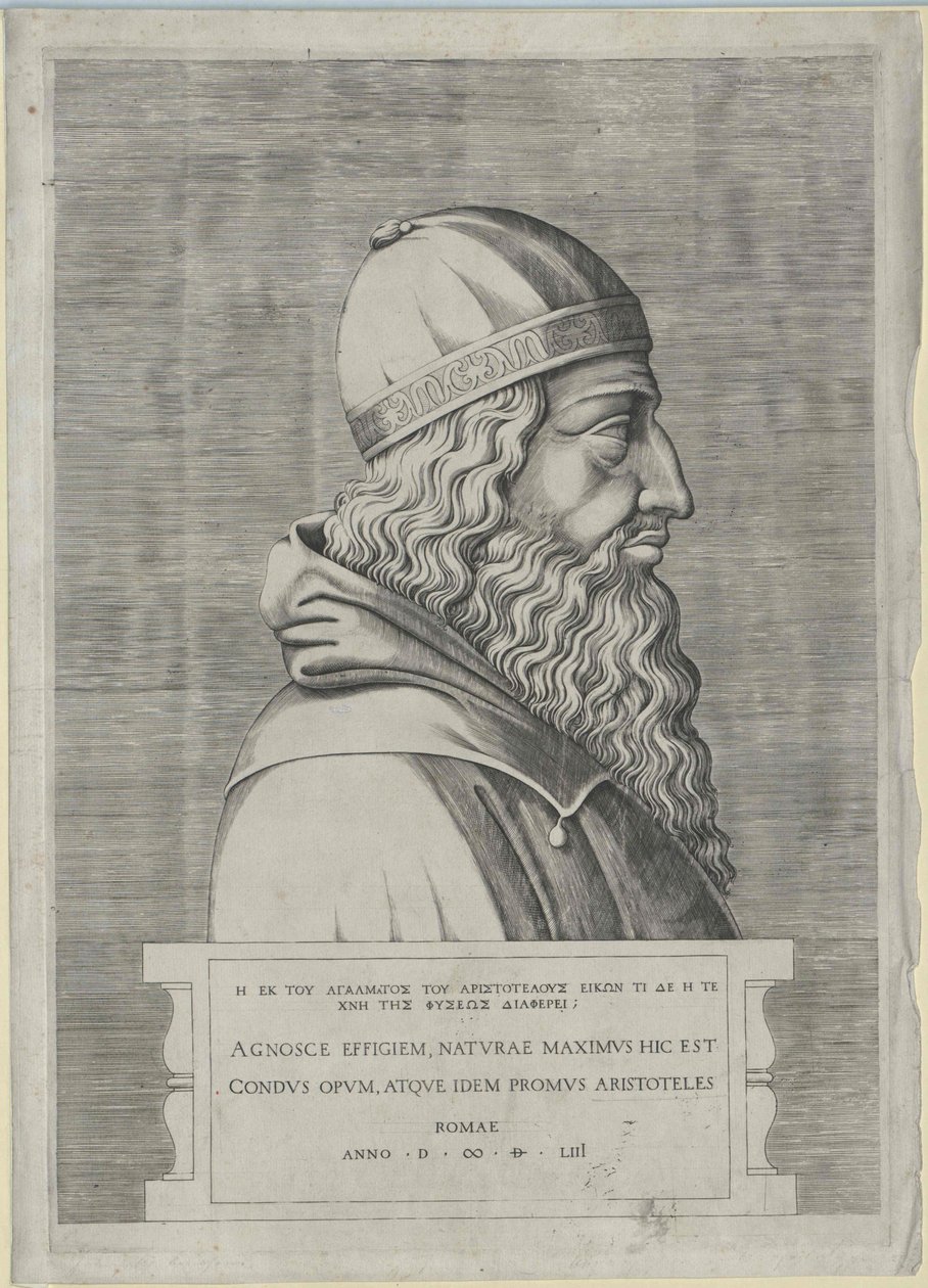 Aristoteles (tryck) av Artist Unknown