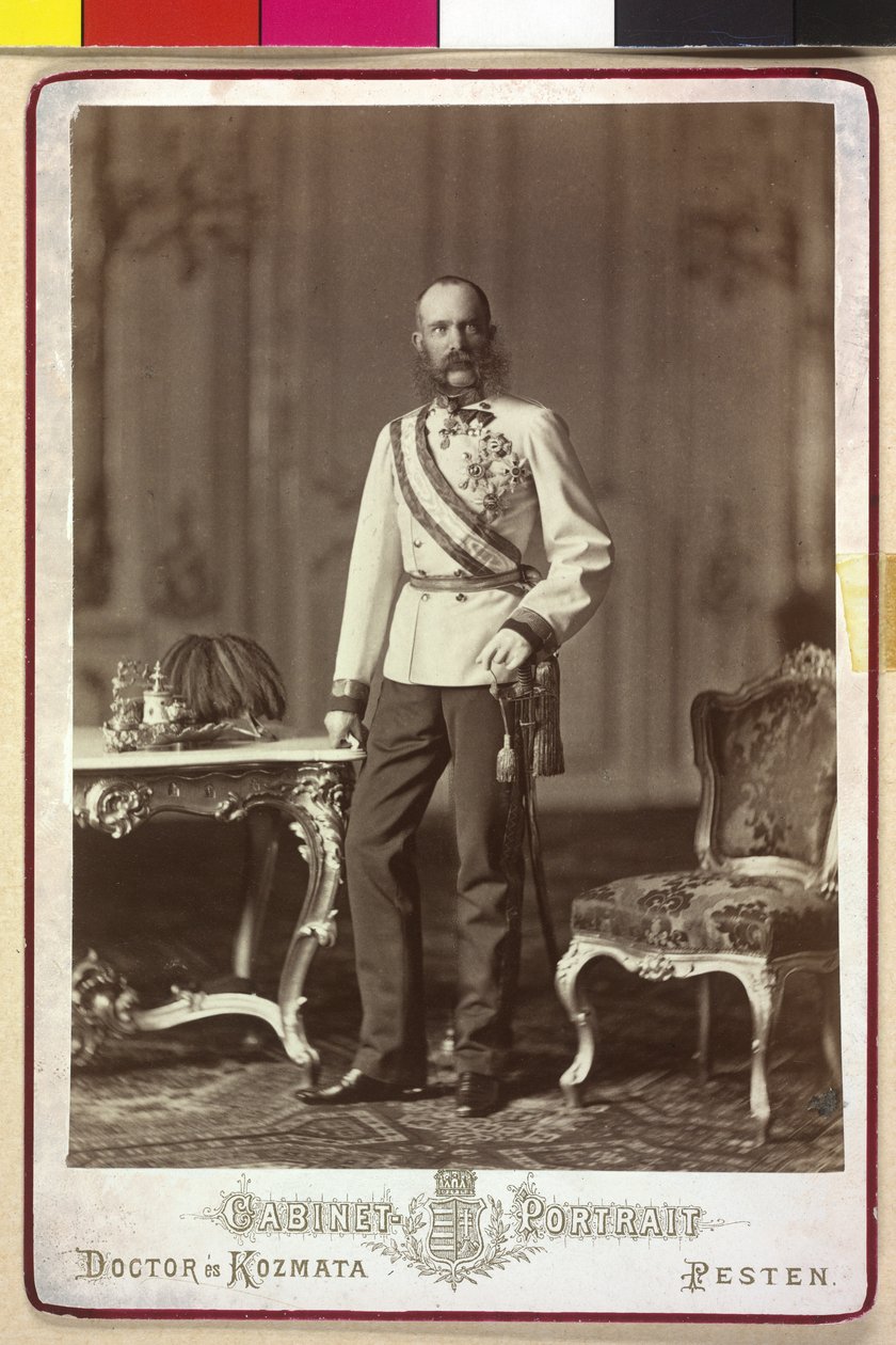 Franz Joseph I av Artist Unknown