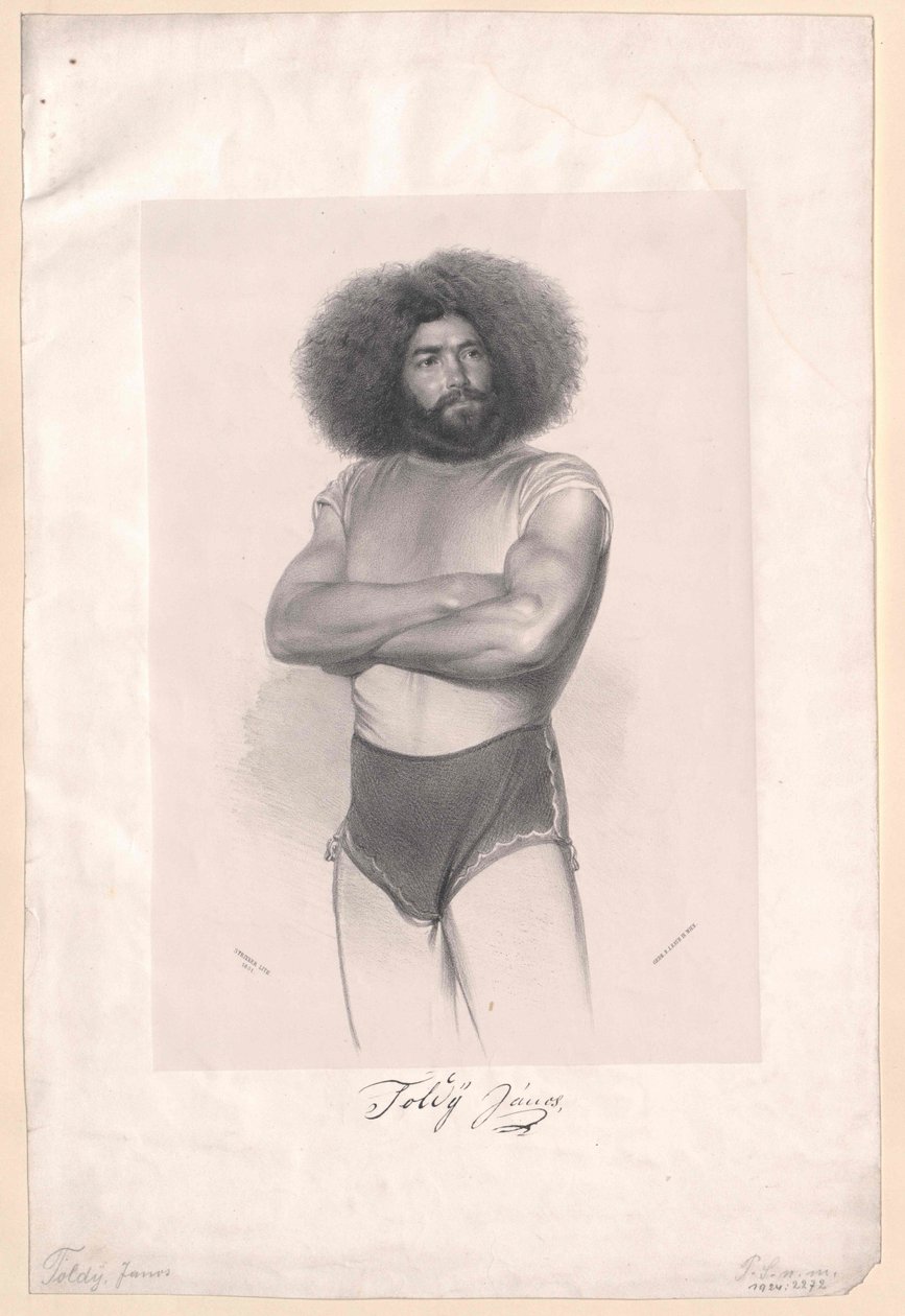 Janos Toldy av Artist Unknown