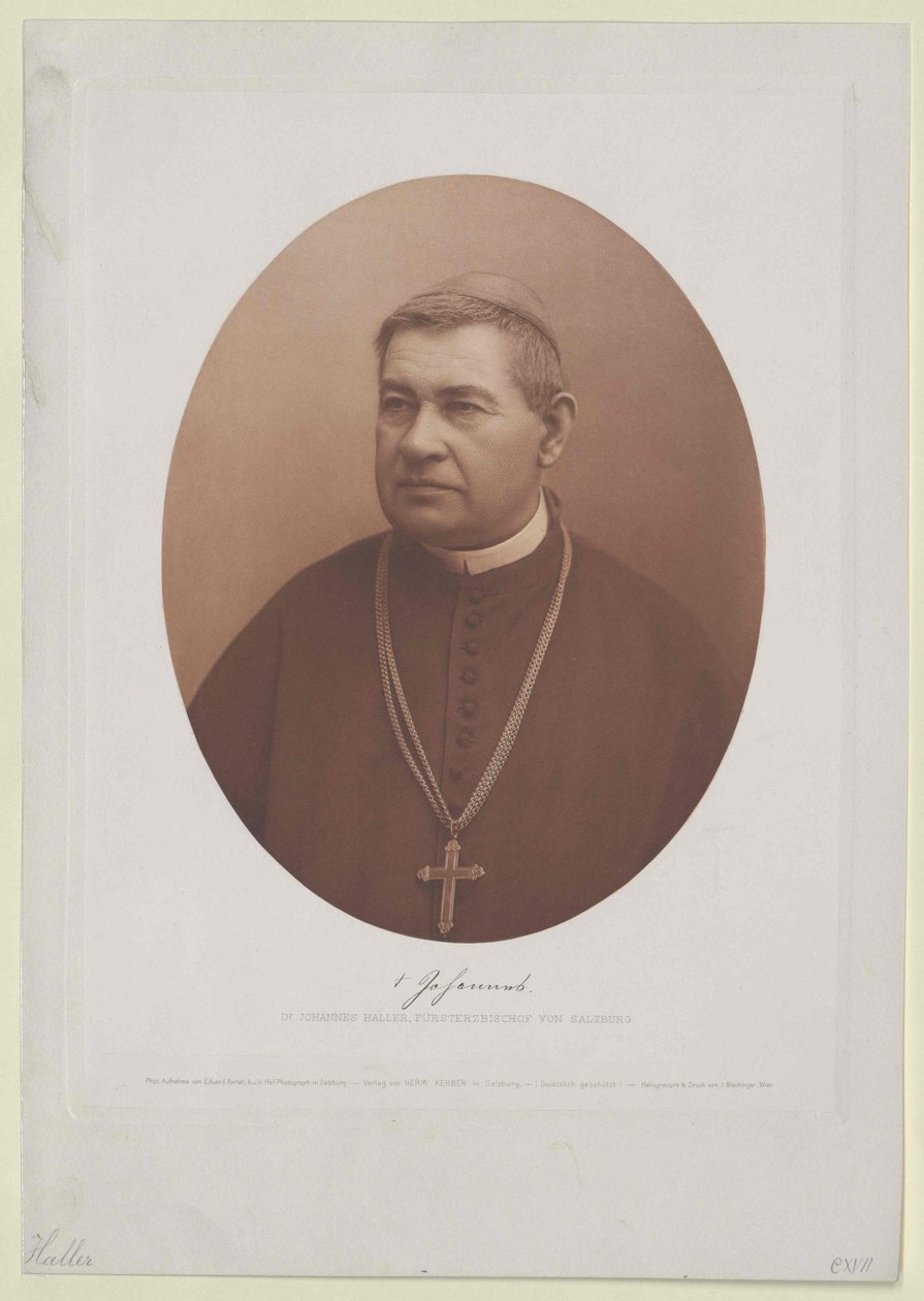 Johannes Haller (tryck) av Artist Unknown
