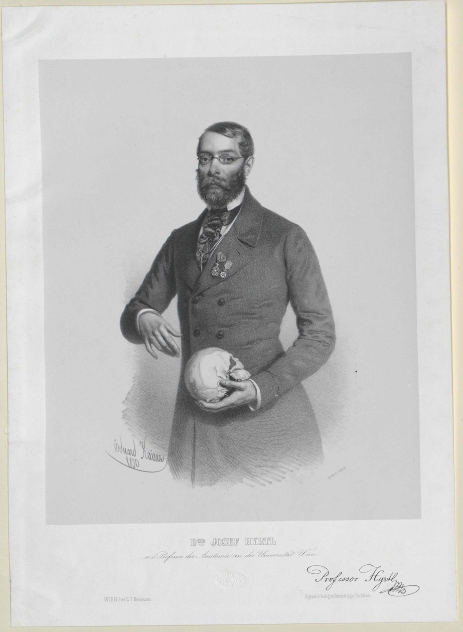 Joseph Hyrtl av Artist Unknown