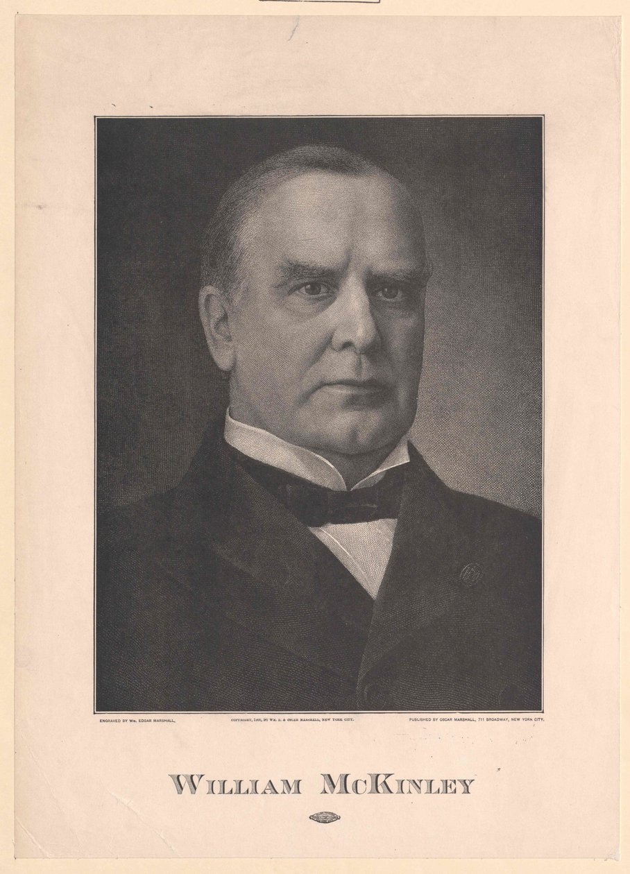 Wilhelm MacKinley av Artist Unknown