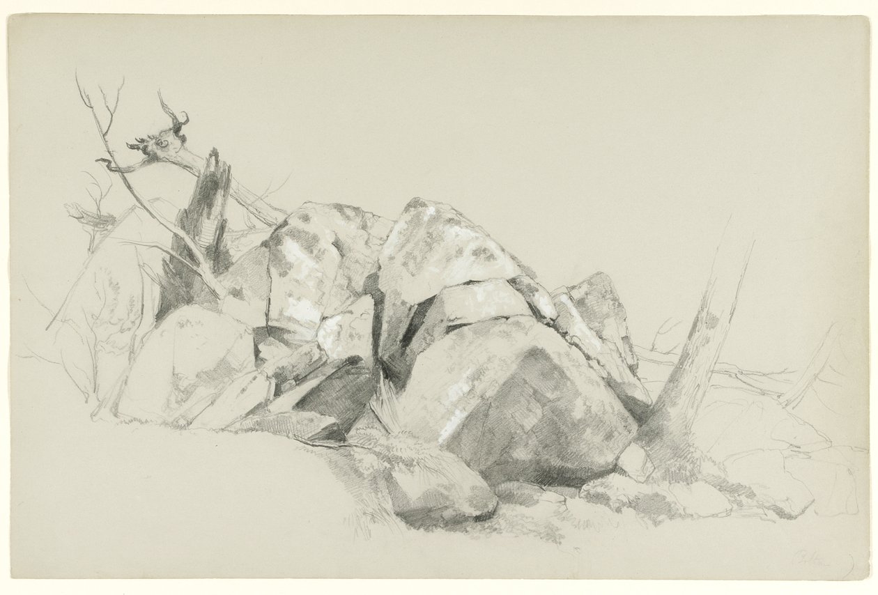 Study of Rocks, 1863 (grafit och vit gouache på grått papper) av Asher Brown Durand