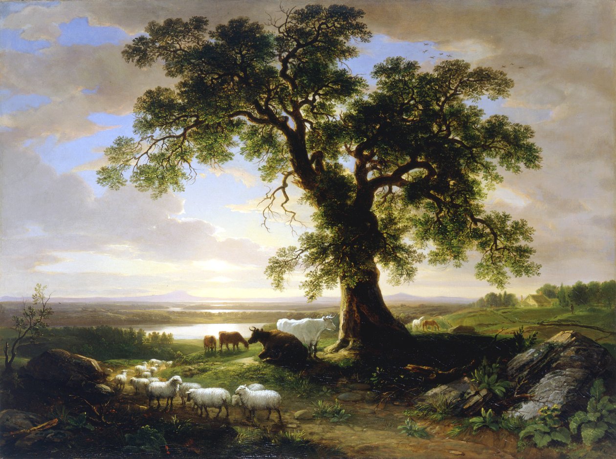 The Solitary Oak The Old Oak, 1844 av Asher Brown Durand