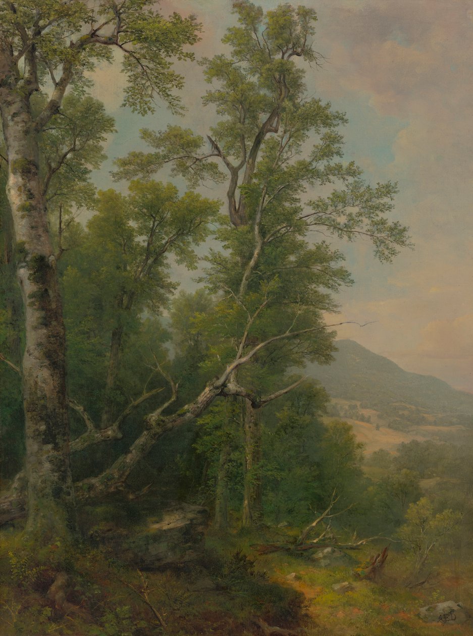 Studie av träd av Asher Brown Durand