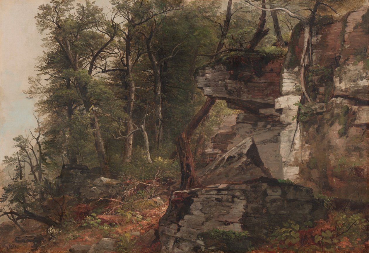 Träd på en stenig sluttning av Asher Brown Durand