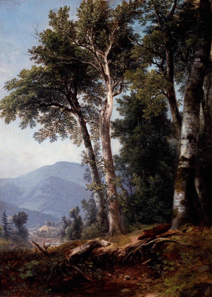Woodland Landscape, ca 1850 (olja på duk) av Asher Brown Durand