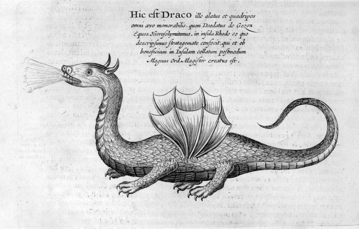 Drake, 1678 av Athanasius Kircher