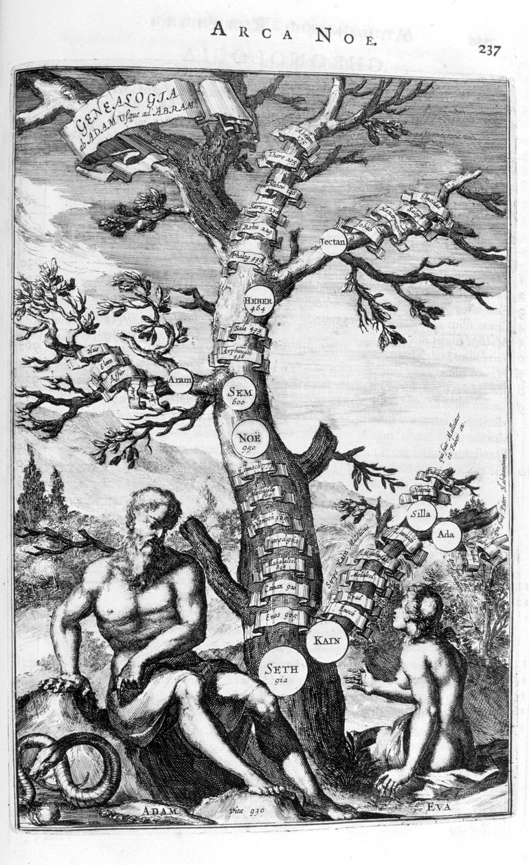Adams släktträd, 1675. av Athanasius Kircher