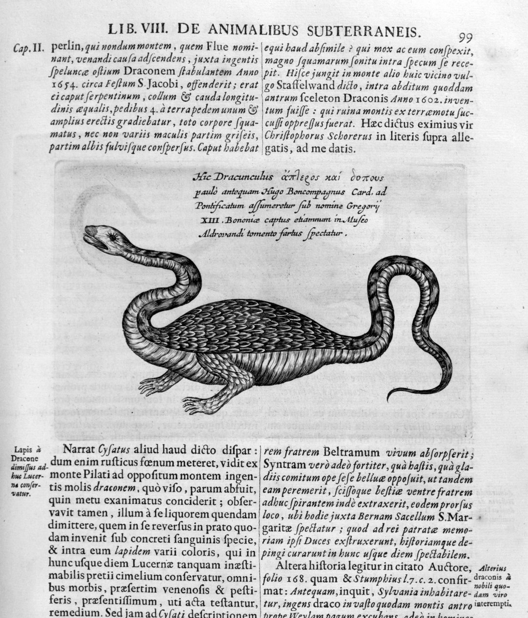 Liten drake, 1678 av Athanasius Kircher