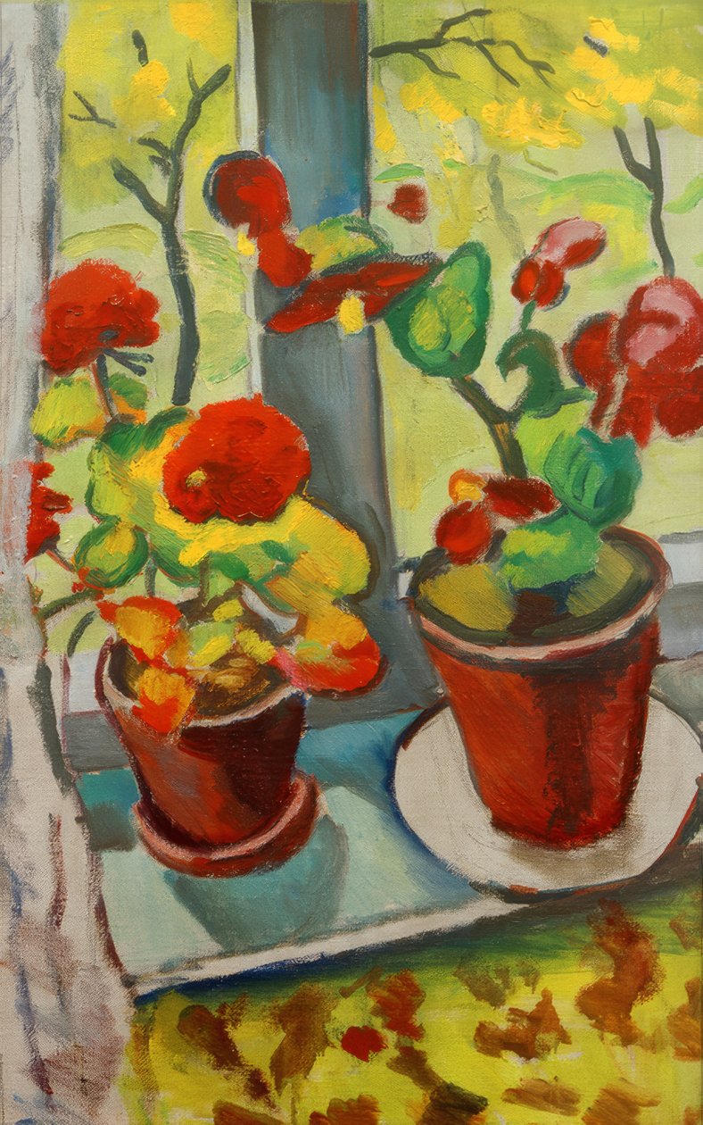 Blommor vid fönstret (begonia i krukor I) av August Macke