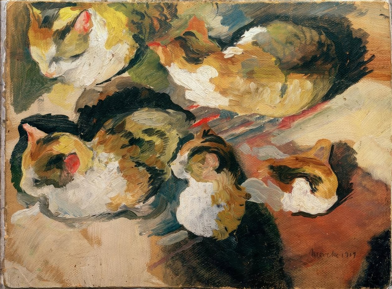 Kattstudier av August Macke