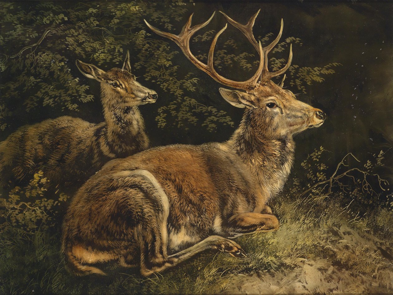 Rådjur av August Schleich