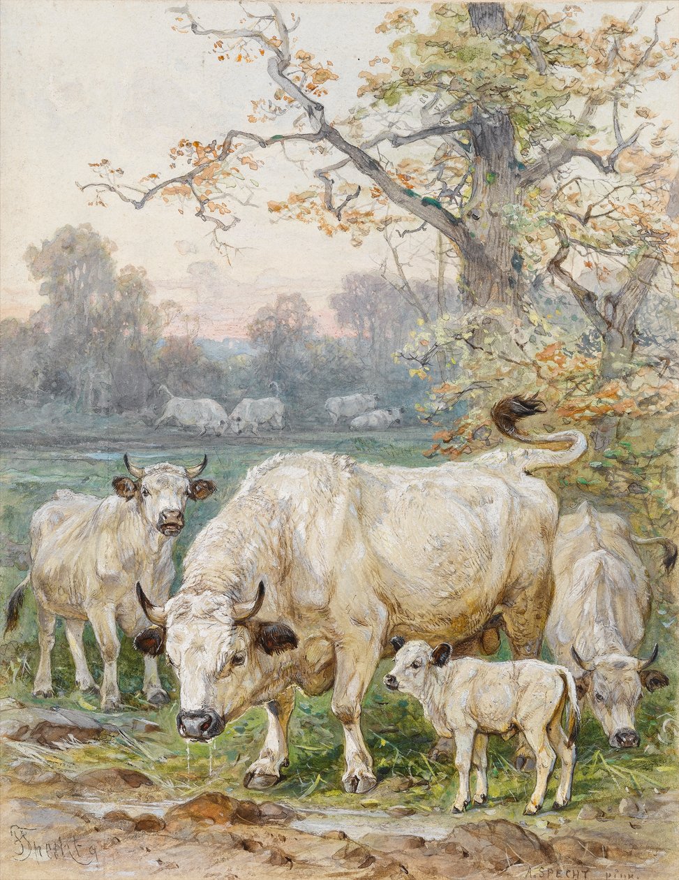 Park Cattle (wc på papper) av August Specht