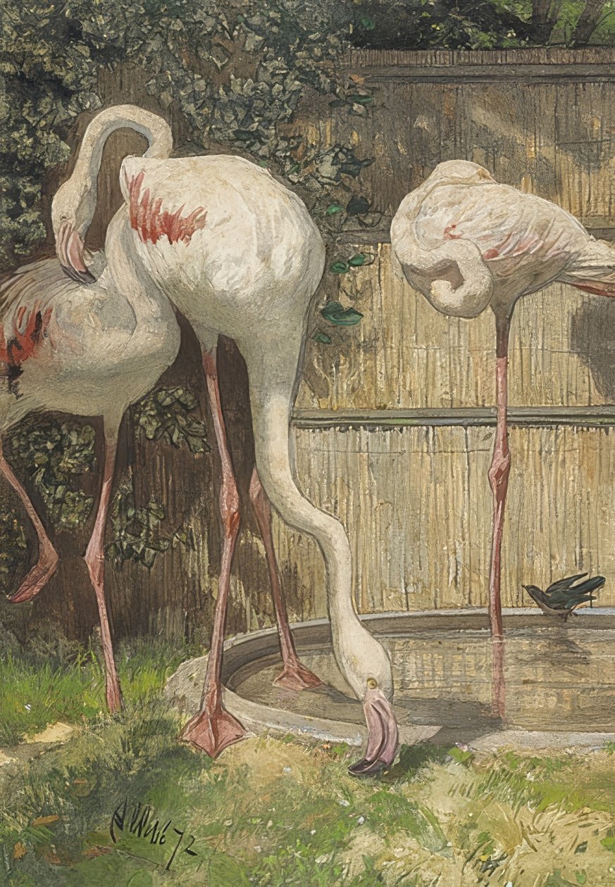 Tre flamingos vid en vattenpöl. 1872 av August Allebe