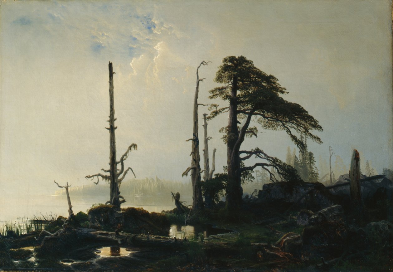 Sjön i dimma (olja på duk) av August Cappelen