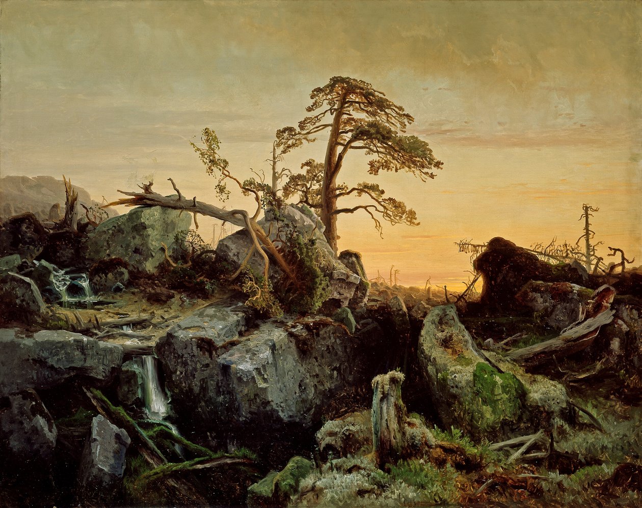 Döende djungel av August Cappelen
