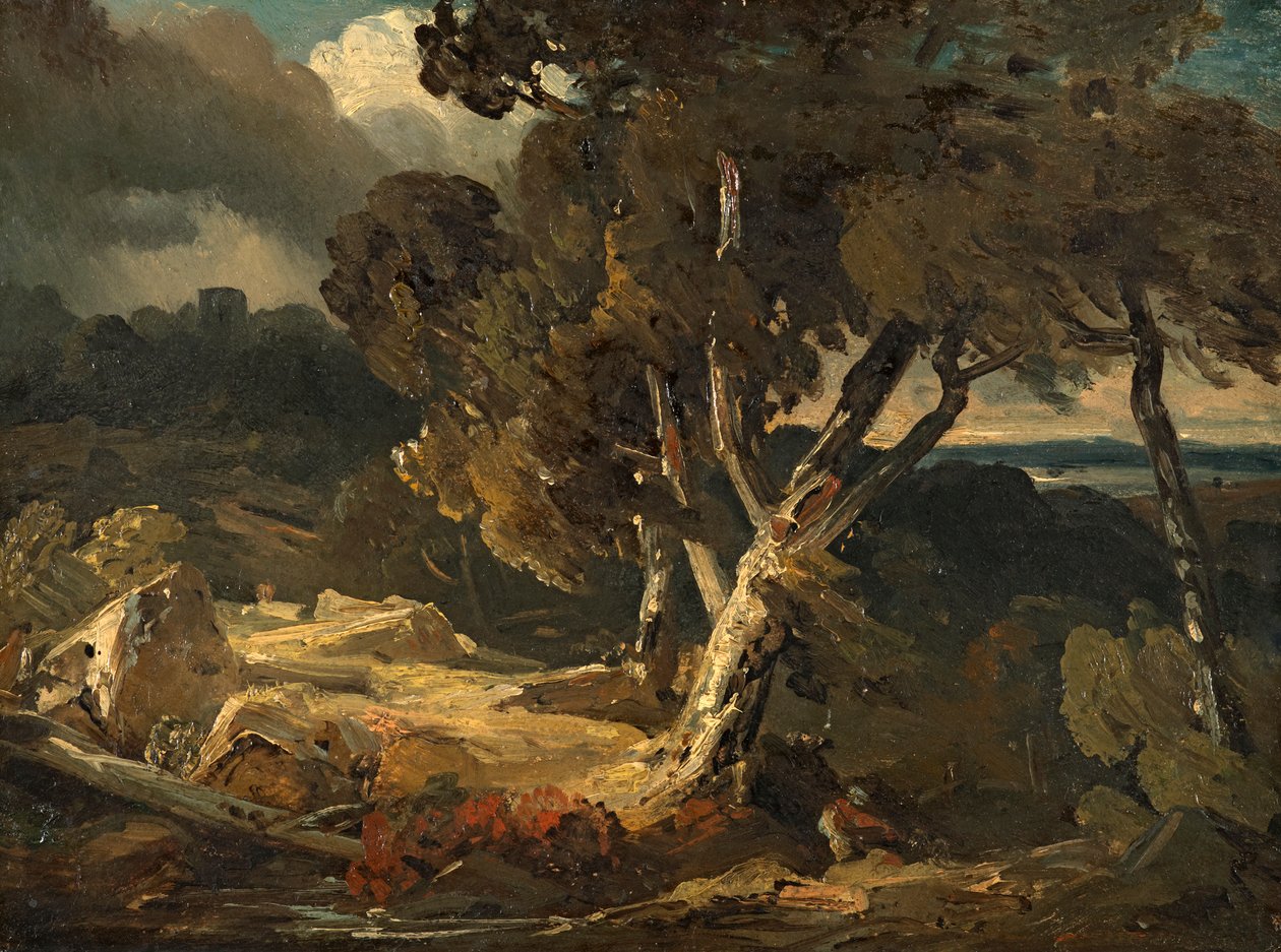 storm landskap av August Seidel