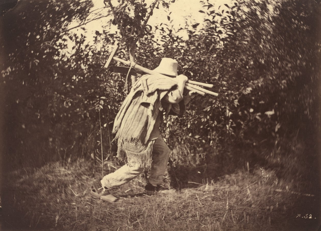 Bonde, c. 1870. av Auguste Giraudon