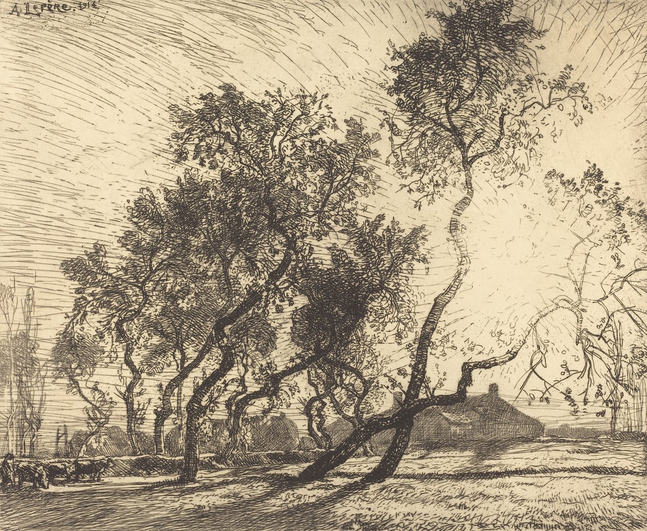 Den holländska poppelfarmen, 1914. av Auguste Lepere