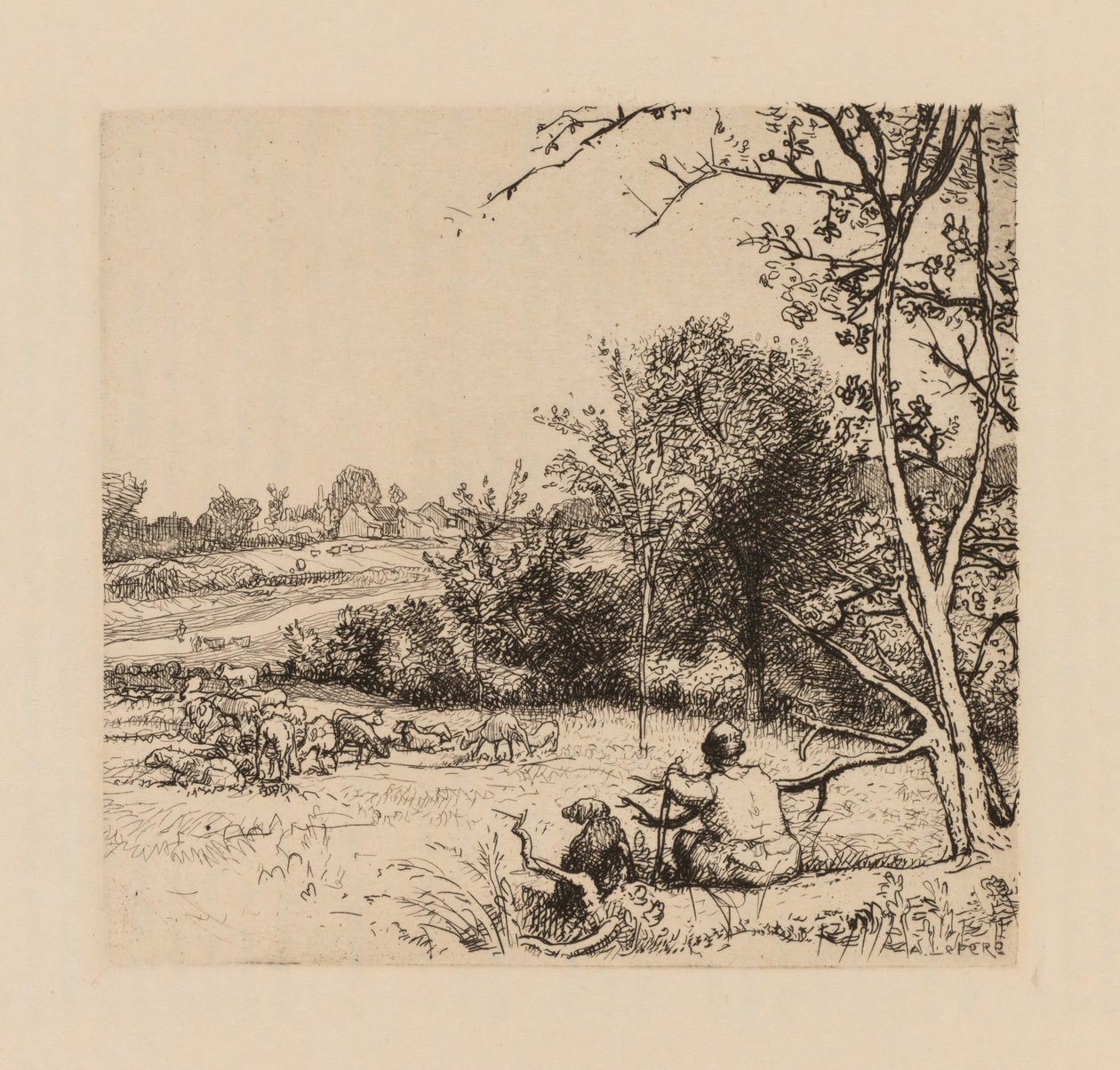 Auguste Lepère: Det välta äppelträdet (Picardie) av Auguste Louis Lepère