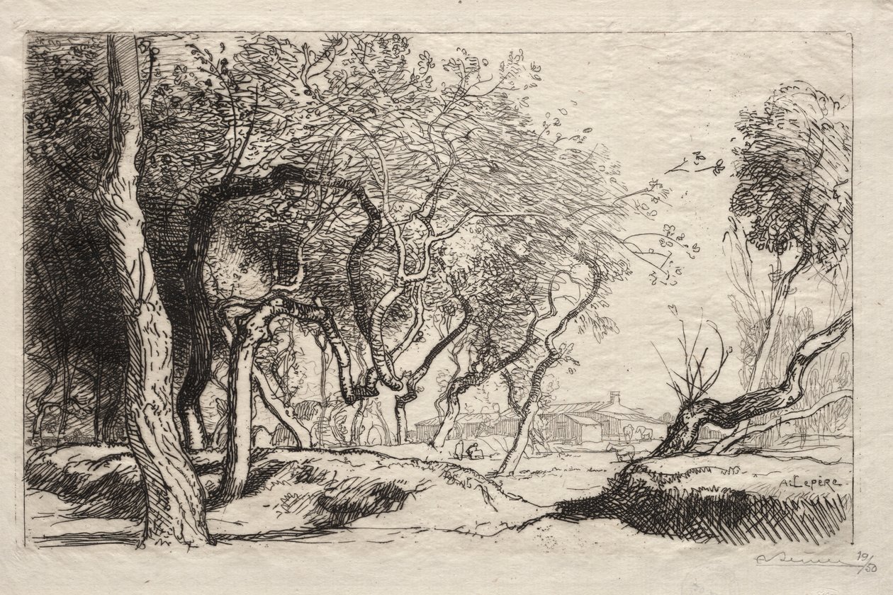 Det vridna trädet, 1915. av Auguste Louis Lepère