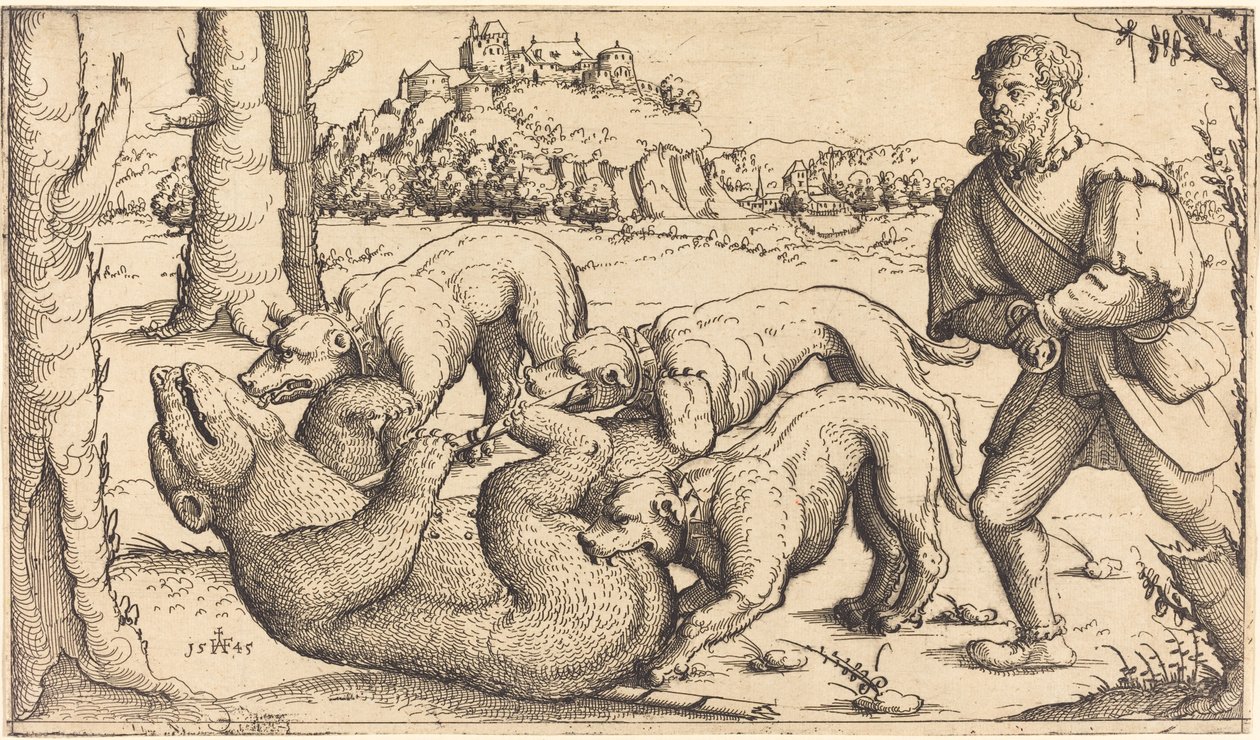 Björnjakt, 1545. av Augustin Hirschvogel