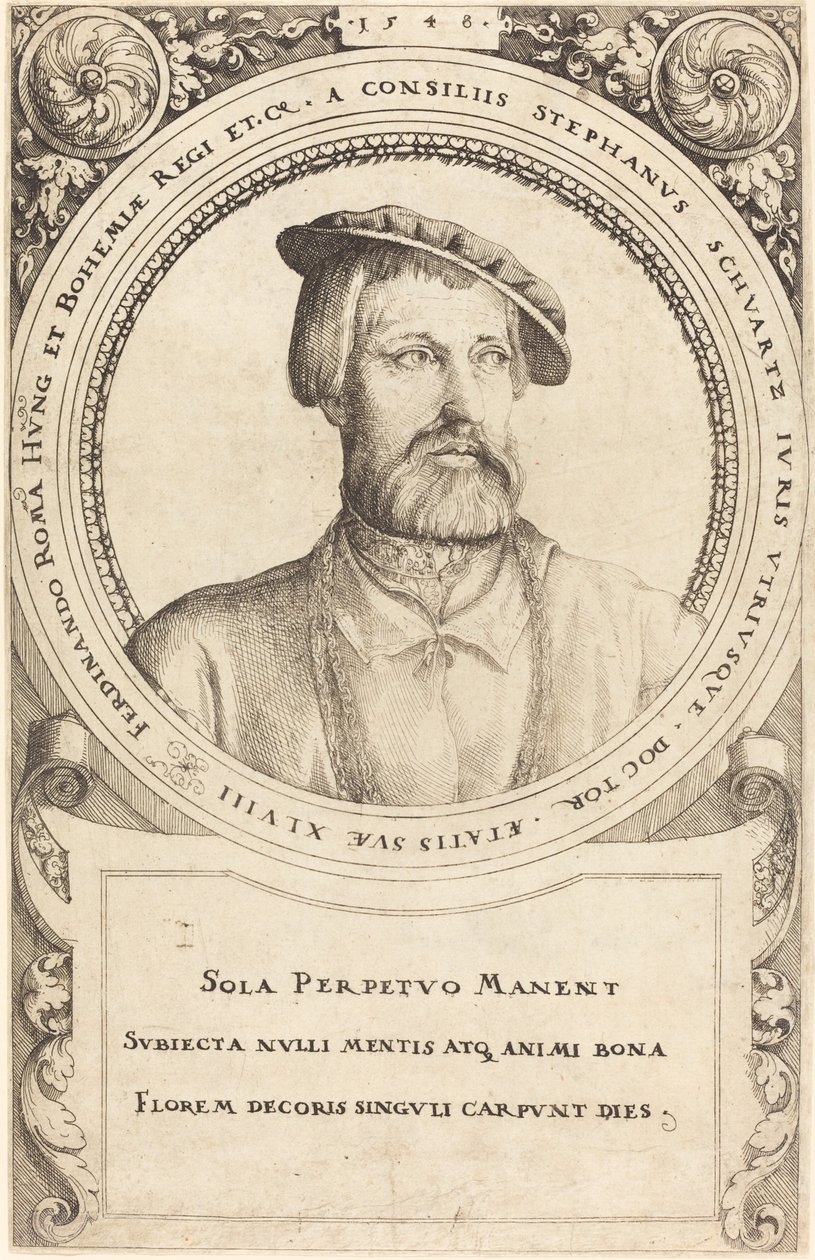 Doktor Stephen Schwartz, 1548. av Augustin Hirschvogel