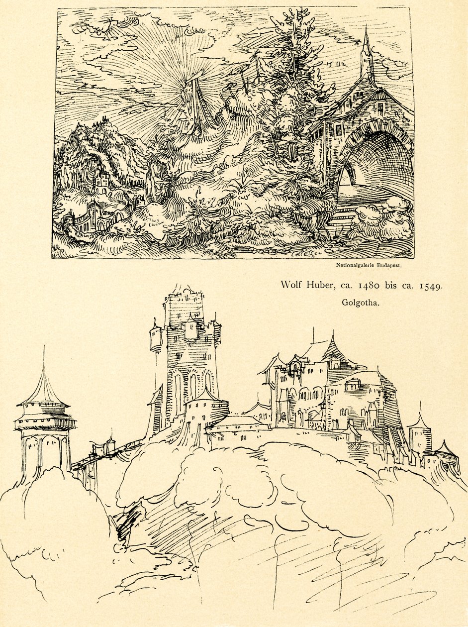 Naturstudie av Augustin Hirschvogel