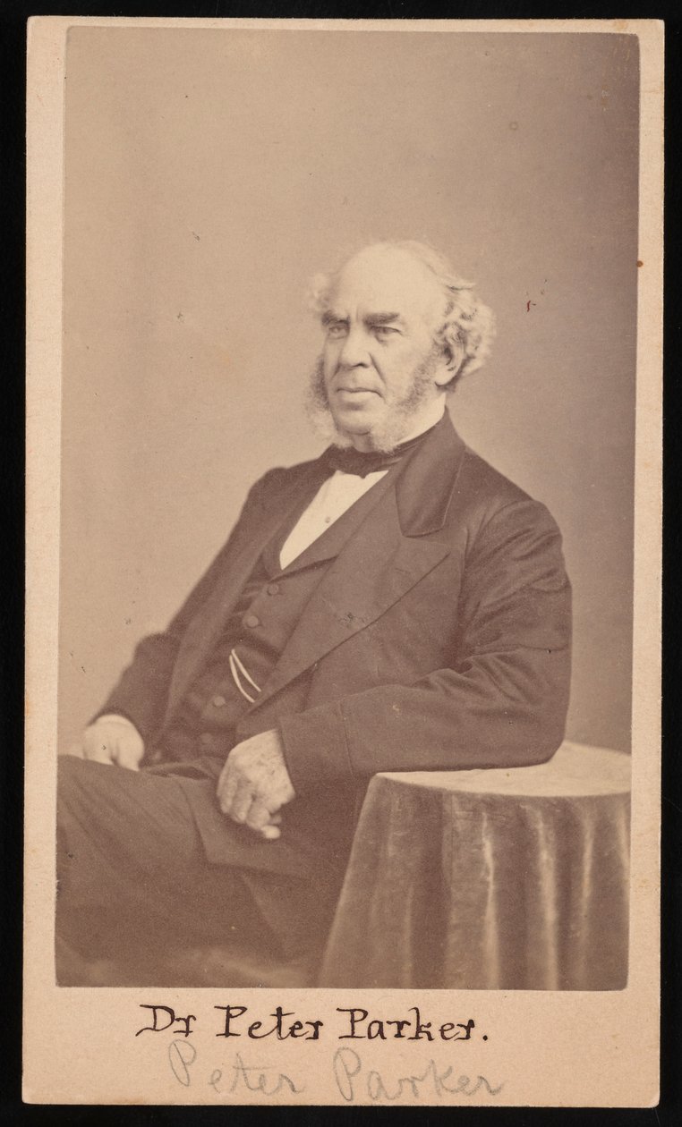 Porträtt av Peter Parker 1804-1888, 1869. av Augustus Marshall