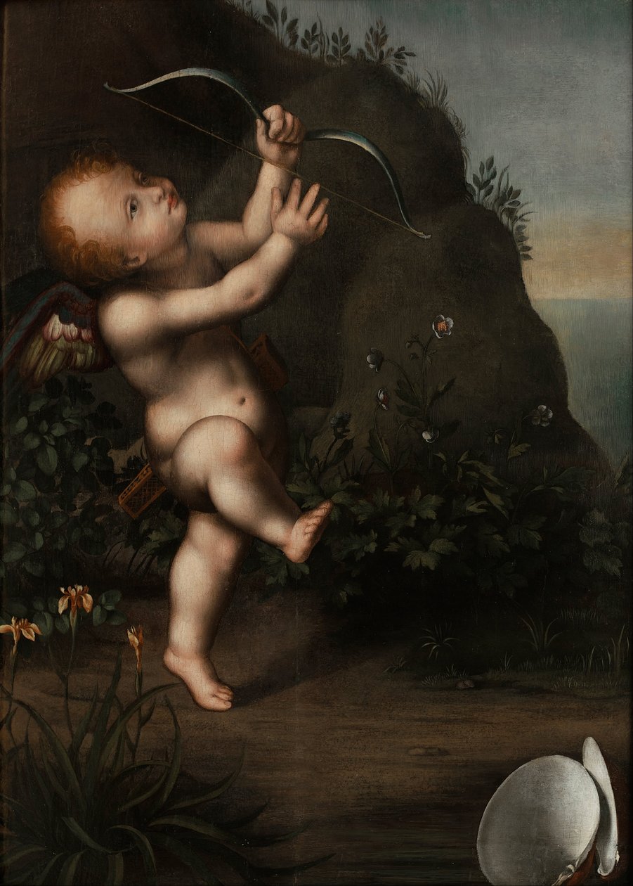 Amor med rosett av Aurelio Luini