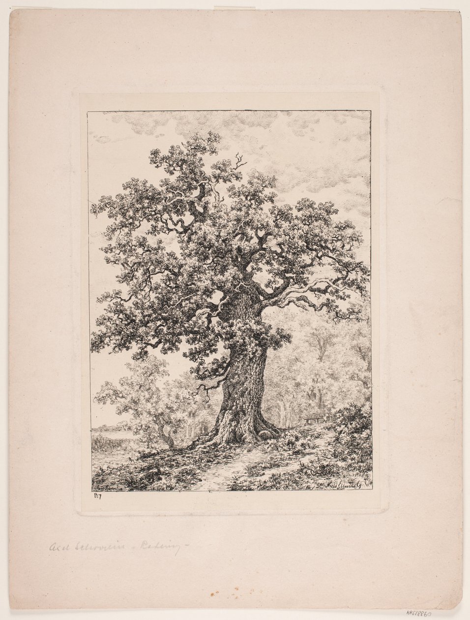 Niels Ebbesens ek. Gyllingnæs skog av Axel Schovelin