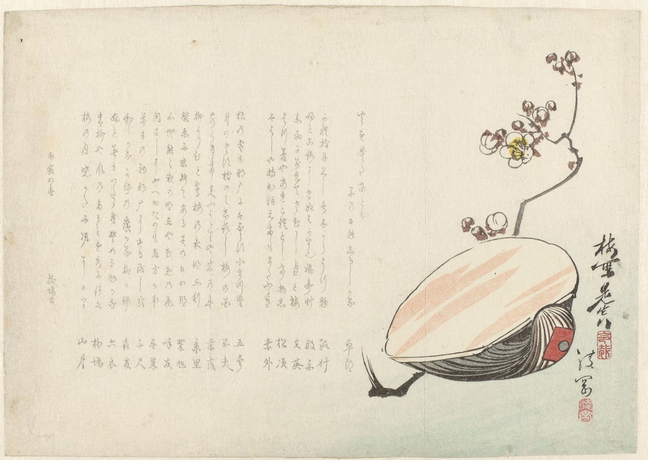 Skal av Ayaoka Yûshin