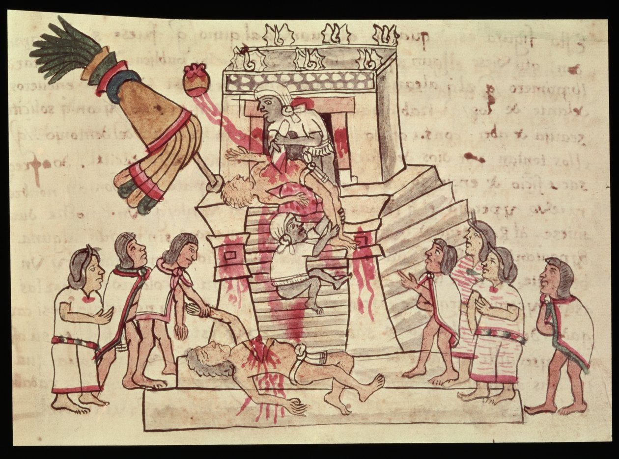 B.R. 232 fol.70r Ett människooffer från Codex Magliabechiano av Aztec