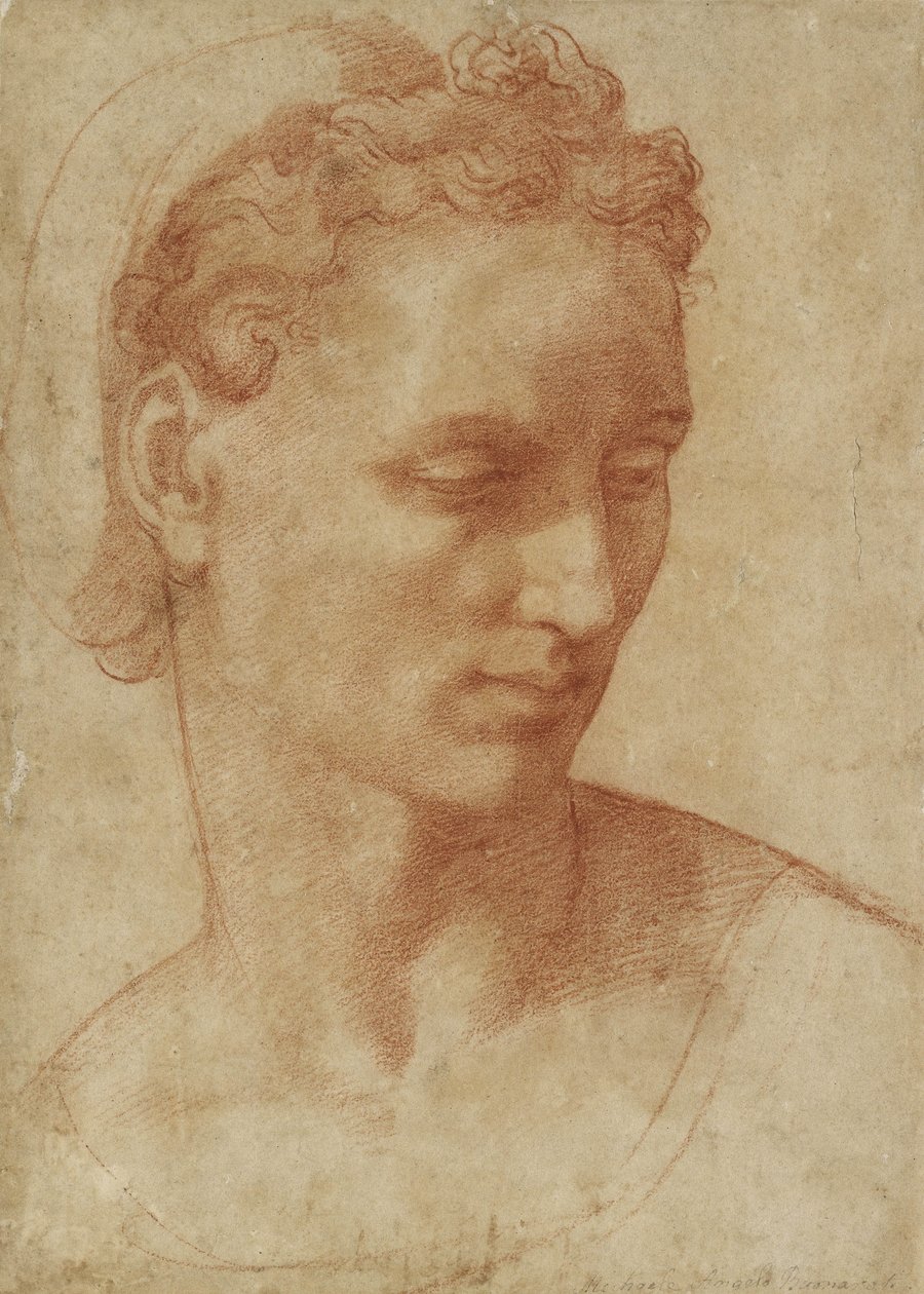 Head of a Woman (krita på papper) av Baccio Bandinelli