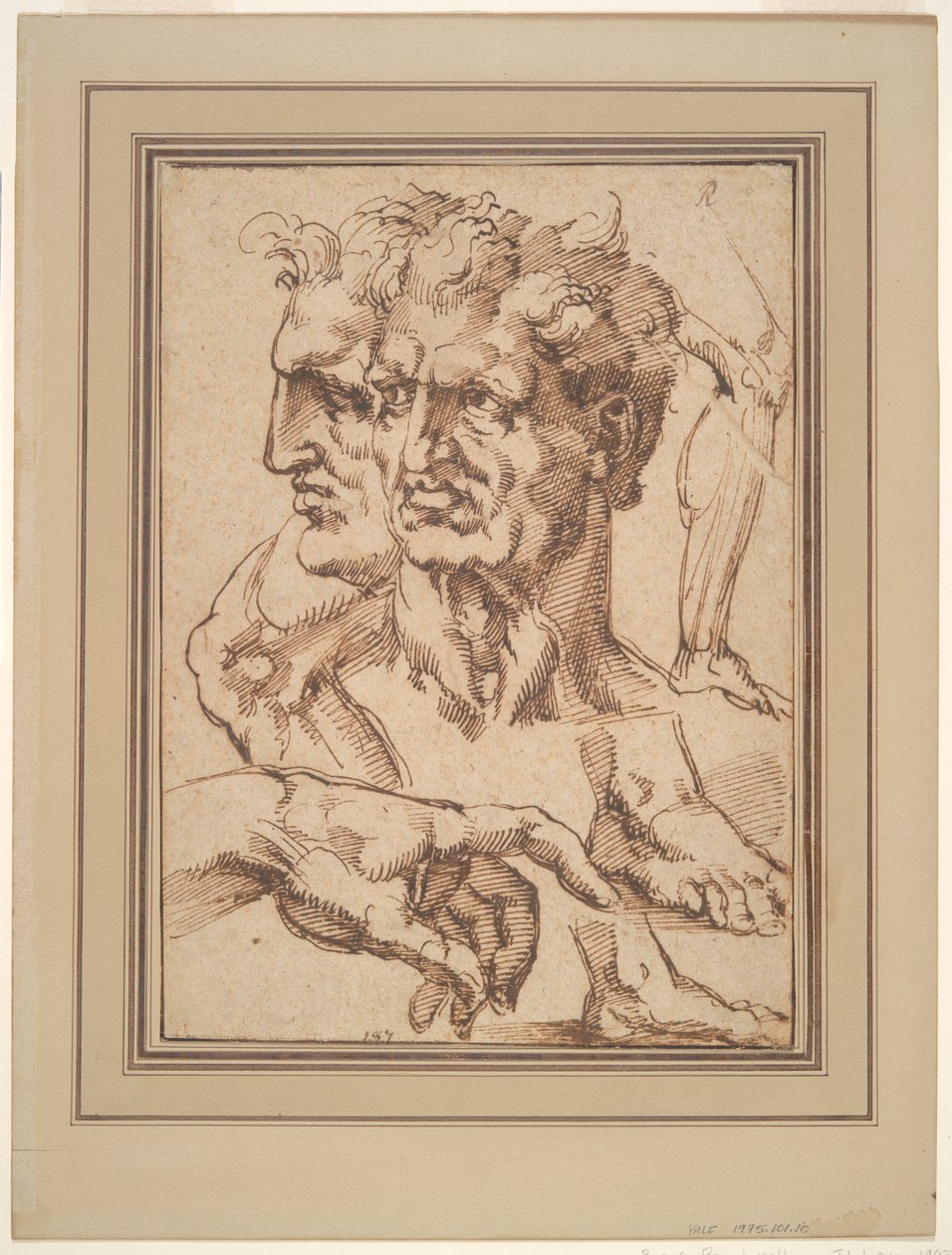 Studieblad av Baccio Bandinelli