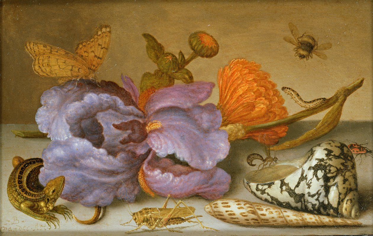 Stilleben föreställande blommor, snäckor och insekter (olja på koppar) (för par se 251378) av Balthasar van der Ast